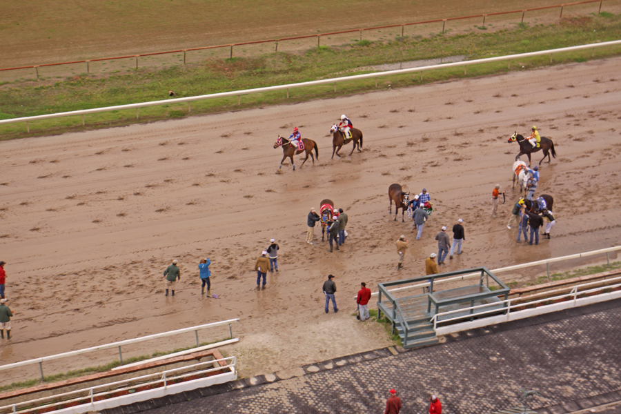 racetrack at Harrah's Louisiana Downs in Bossier City