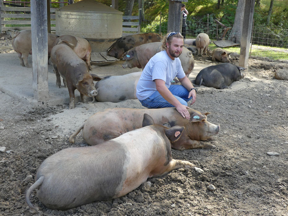 Farmer Sam with pigs  at Capon Springs