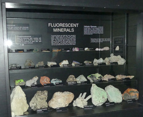 Floresent mineral display regular light at Joplin's Mineral and History Museum