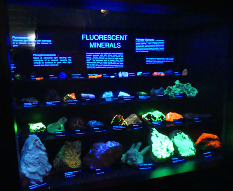 Floresent mineral display black light at Joplin's Mineral and History Museum