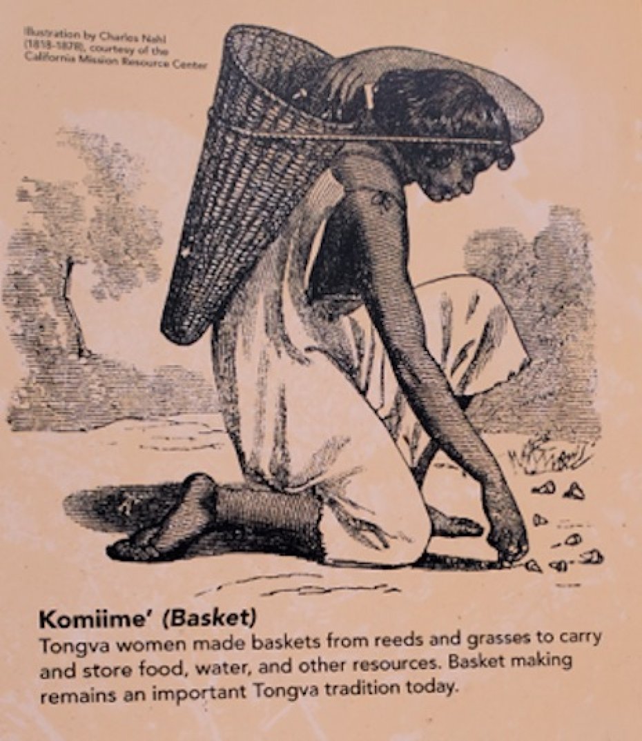 a poster of a nitive american woman picking acorns off the ground to put in a basket she carries