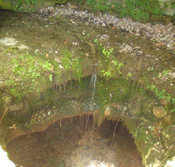 Sinking Spring below the Lincoln Memorial, far below the ground.