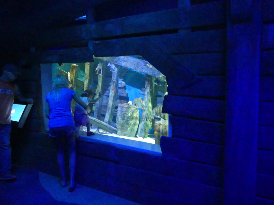 mother and little child looking into window in shipwreck exhibit at North Carolina Aquarium at Roanoke