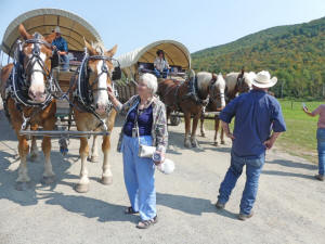 me petting covered wagon horses