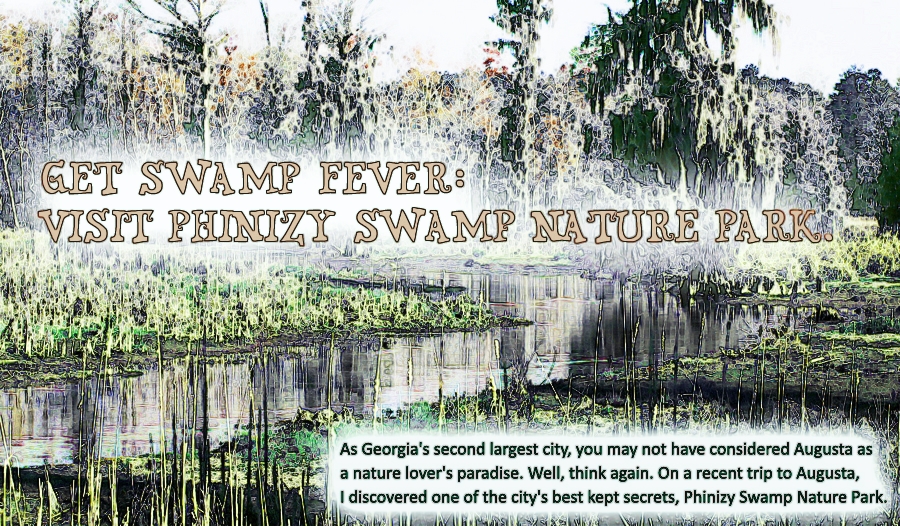 phinizy swamp Nature Park in Augusta GA.