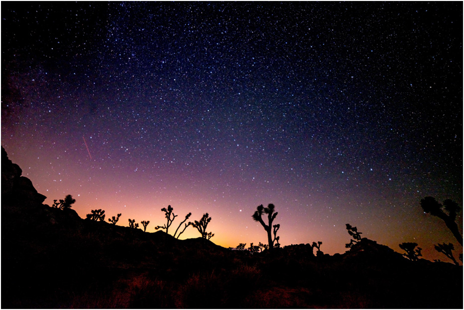 Sunset at Joshua Tree NP