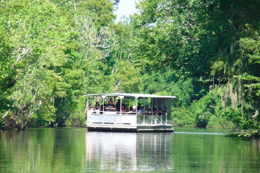 Sqamp tour boat on bayou