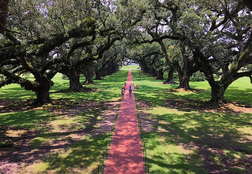 oak alley plantation walkway with oaks shading peopel walking on driveway