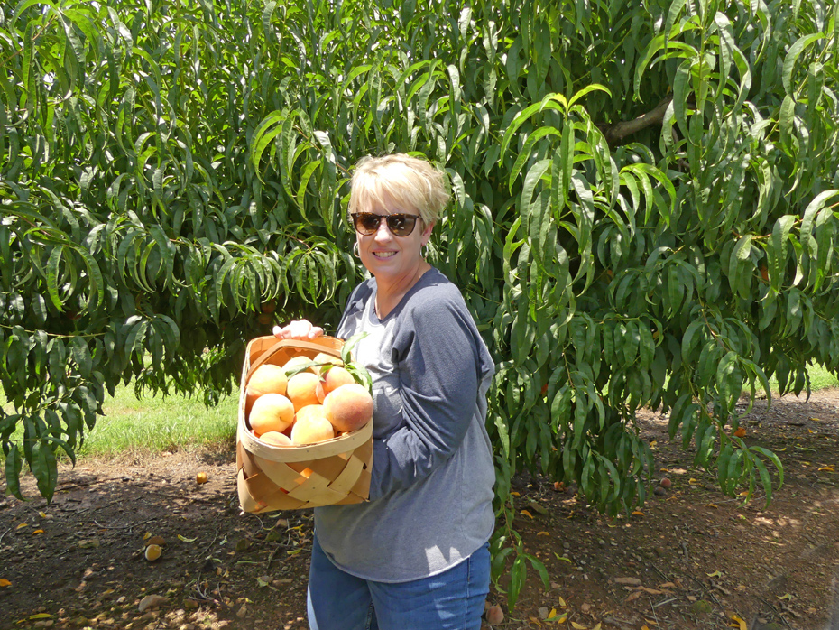 woman with baskert of peaches