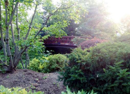 One of the footbridges at Anderson Japanese Gardens in Rockford, Illinois