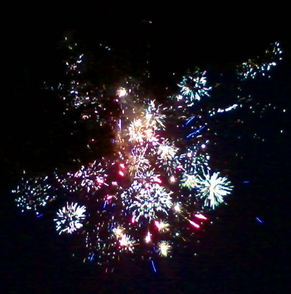 Fireworks over Anderson Japanese Gardens