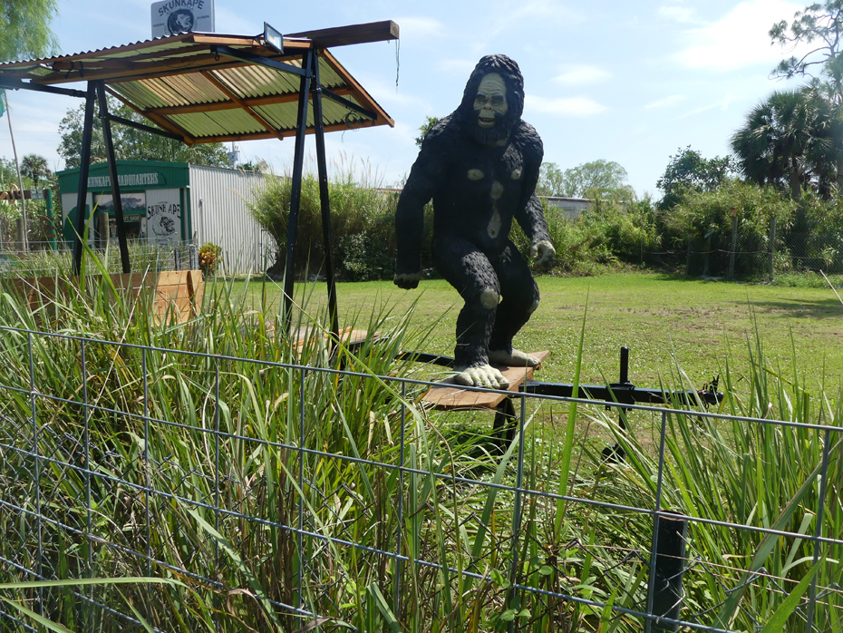 stature of skunk ape