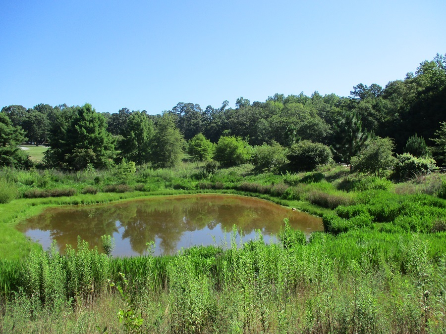 South Carolina Botanical Gardens