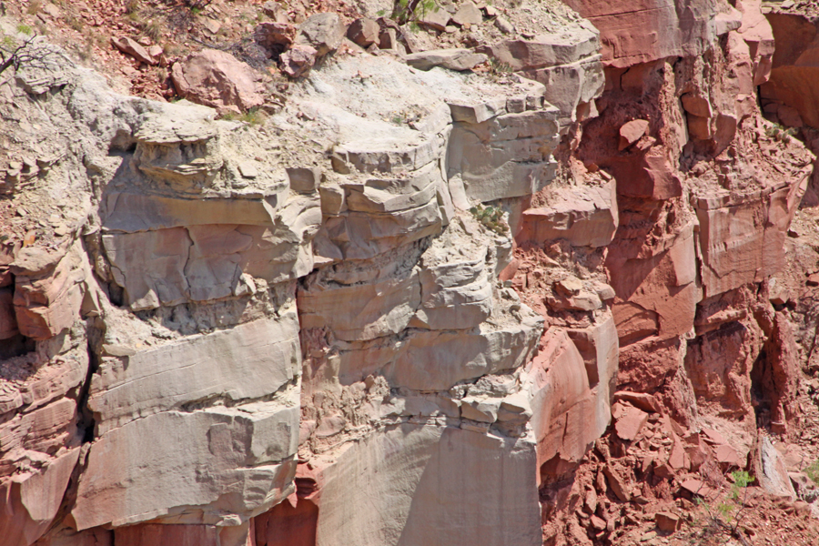 Sad Monkeys at  at Palo Duro Canyon near Amarillo, Texas