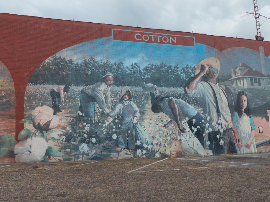 Dothan mural cotton