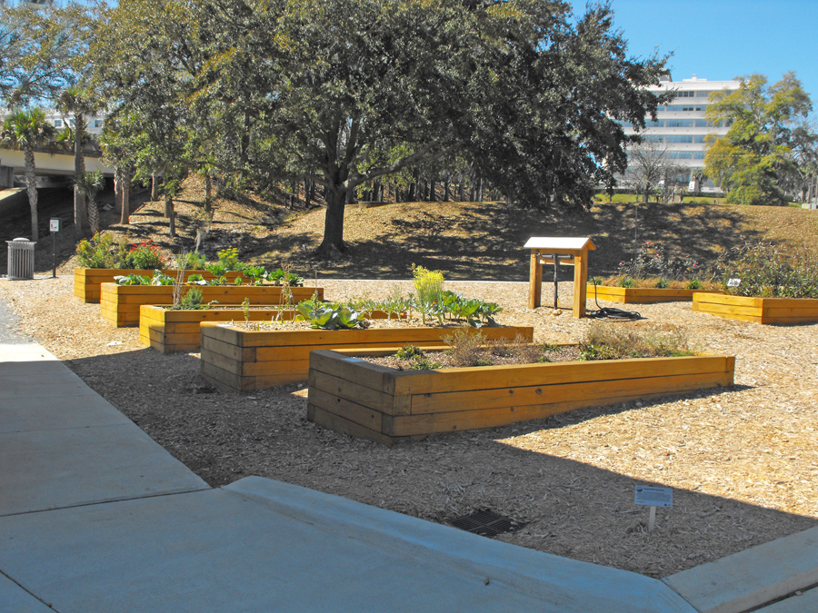 vegatable garden at Smokey Hollow