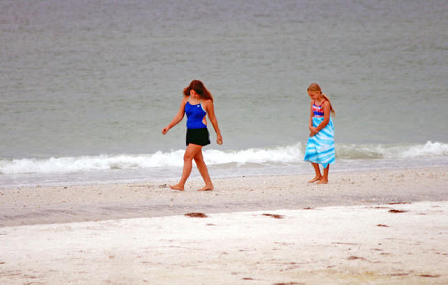 shellers on beach in Caladesi Island