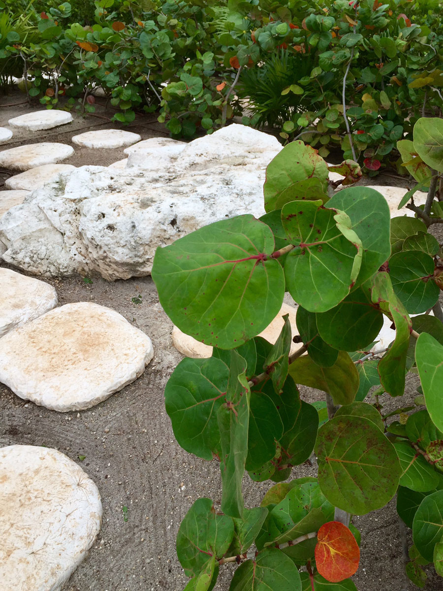 stone path at Finest Resort Playa Mujeres.