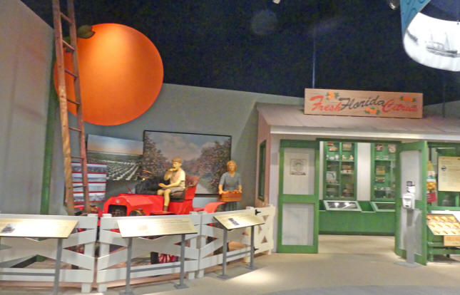 Citrus display at ampa Bay History Center