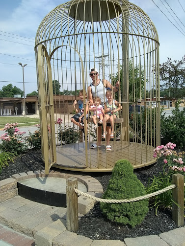 Birdcage in casey