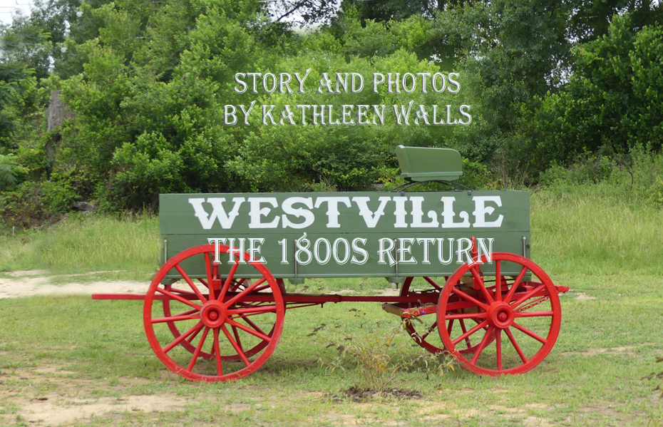 old time wagon in grass at westville