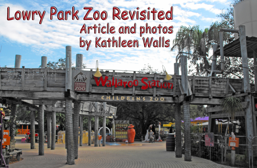 Header
                              showing Wallaroo Station and title Lowery
                              Park Zoo Revisited