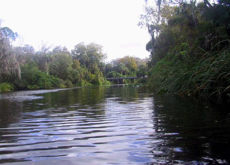 A view of Shell Creek in Charlotte County, Florida